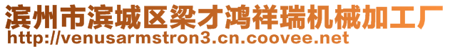 濱州市濱城區(qū)梁才鴻祥瑞機(jī)械加工廠