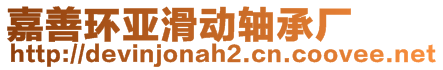 嘉善環(huán)亞滑動(dòng)軸承廠