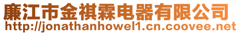 廉江市金祺霖電器有限公司