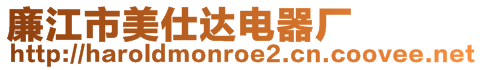 廉江市美仕達電器廠