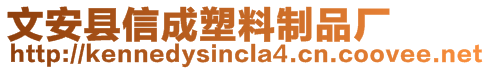 文安縣信成塑料制品廠