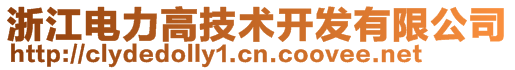 浙江电力高技术开发有限公司