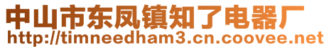 中山市東鳳鎮(zhèn)知了電器廠