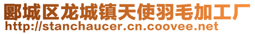 郾城區(qū)龍城鎮(zhèn)天使羽毛加工廠