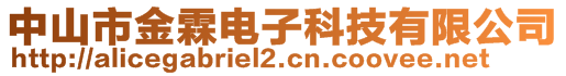 中山市金霖电子科技有限公司