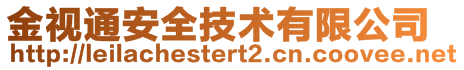 金视通安全技术有限公司