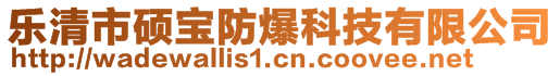 樂清市碩寶防爆科技有限公司