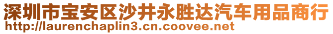 深圳市宝安区沙井永胜达汽车用品商行