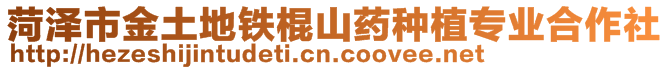 菏澤市金土地鐵棍山藥種植專業合作社
