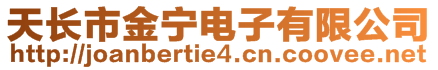 天長市金寧電子有限公司