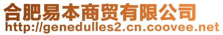 合肥易本商貿有限公司