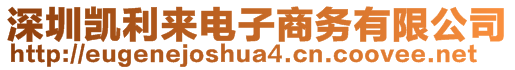 深圳凱利來電子商務有限公司