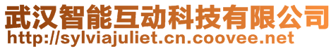 武漢智能互動科技有限公司