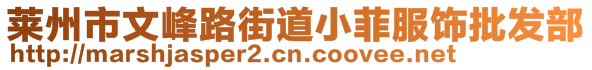 莱州市文峰路街道小菲服饰批发部