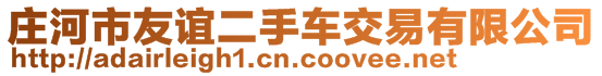 莊河市友誼二手車交易有限公司