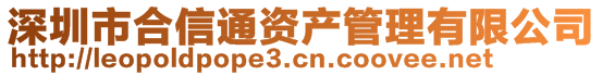 深圳市合信通資產(chǎn)管理有限公司