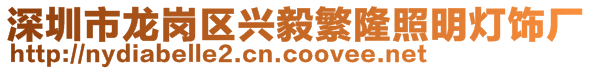 深圳市龍崗區興毅繁隆照明燈飾廠