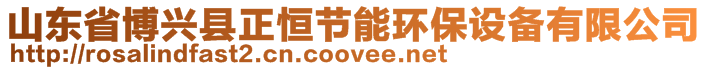 山東省博興縣正恒節(jié)能環(huán)保設備有限公司