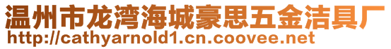 溫州市龍灣海城豪思五金潔具廠