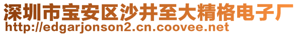 深圳市寶安區(qū)沙井至大精格電子廠