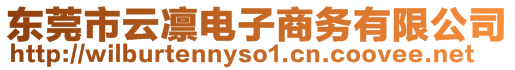 東莞市云凜電子商務(wù)有限公司