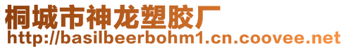 桐城市神龍塑膠廠