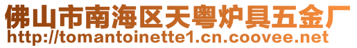 佛山市南海區(qū)天粵爐具五金廠