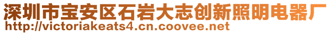 深圳市寶安區(qū)石巖大志創(chuàng)新照明電器廠