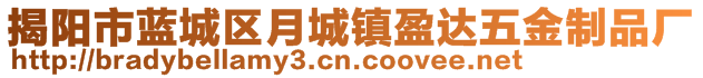 揭陽(yáng)市藍(lán)城區(qū)月城鎮(zhèn)盈達(dá)五金制品廠