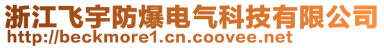 浙江飞宇防爆电气科技有限公司