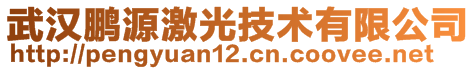 武漢鵬源激光技術有限公司