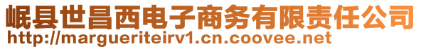 岷縣世昌西電子商務(wù)有限責(zé)任公司