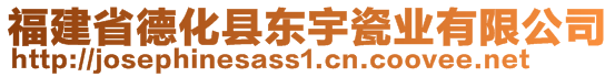 福建省德化县东宇瓷业有限公司