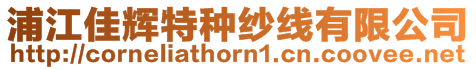 浦江佳輝特種紗線有限公司