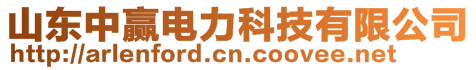 山東中贏電力科技有限公司