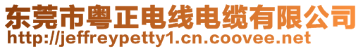 東莞市粵正電線電纜有限公司