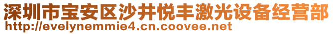 深圳市寶安區(qū)沙井悅豐激光設(shè)備經(jīng)營部