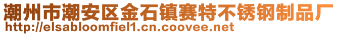 潮州市潮安區(qū)金石鎮(zhèn)賽特不銹鋼制品廠