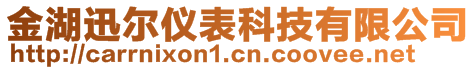 金湖迅爾儀表科技有限公司