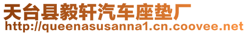 天臺(tái)縣毅軒汽車座墊廠