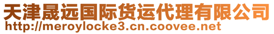 天津晟遠(yuǎn)國際貨運(yùn)代理有限公司