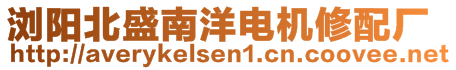 瀏陽北盛南洋電機修配廠