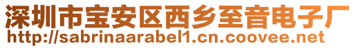 深圳市寶安區西鄉至音電子廠