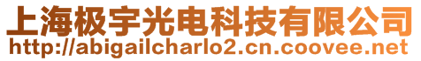 上海極宇光電科技有限公司