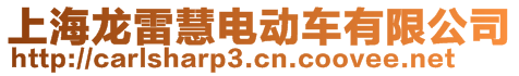上海龍雷慧電動車有限公司