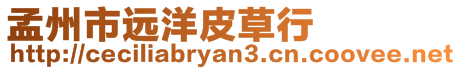 孟州市遠(yuǎn)洋皮草行