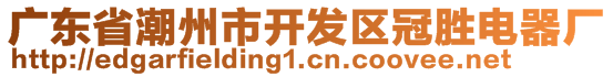 廣東省潮州市開發(fā)區(qū)冠勝電器廠