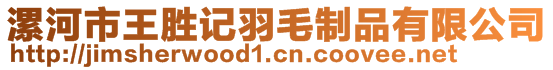 漯河市王勝記羽毛制品有限公司