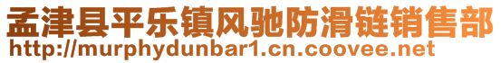 孟津縣平樂(lè)鎮(zhèn)風(fēng)馳防滑鏈銷售部