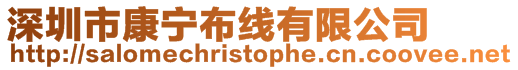 深圳市康寧布線有限公司